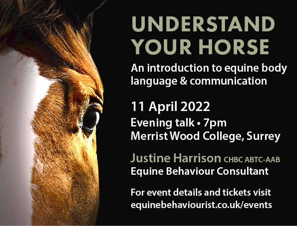 UNDERSTAND YOUR HORSE – Equine body language