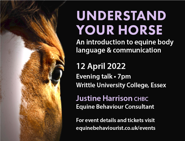 UNDERSTAND YOUR HORSE – Equine body language