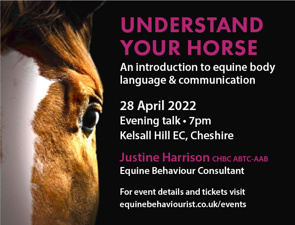 UNDERSTAND YOUR HORSE – Equine body language