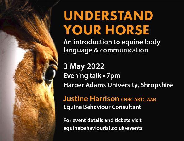 UNDERSTAND YOUR HORSE – EQUINE BODY LANGUAGE