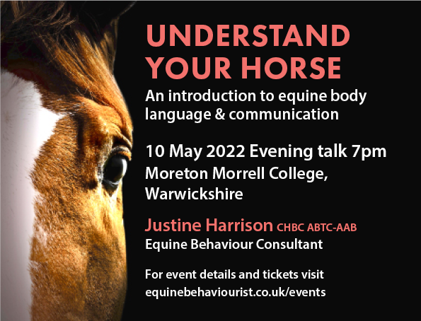 UNDERSTAND YOUR HORSE – EQUINE BODY LANGUAGE