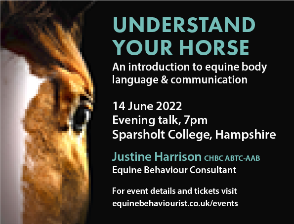 UNDERSTAND YOUR HORSE – EQUINE BODY LANGUAGE