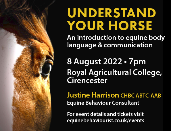 UNDERSTAND YOUR HORSE – EQUINE BODY LANGUAGE