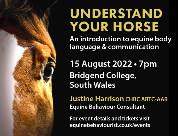 UNDERSTAND YOUR HORSE – EQUINE BODY LANGUAGE