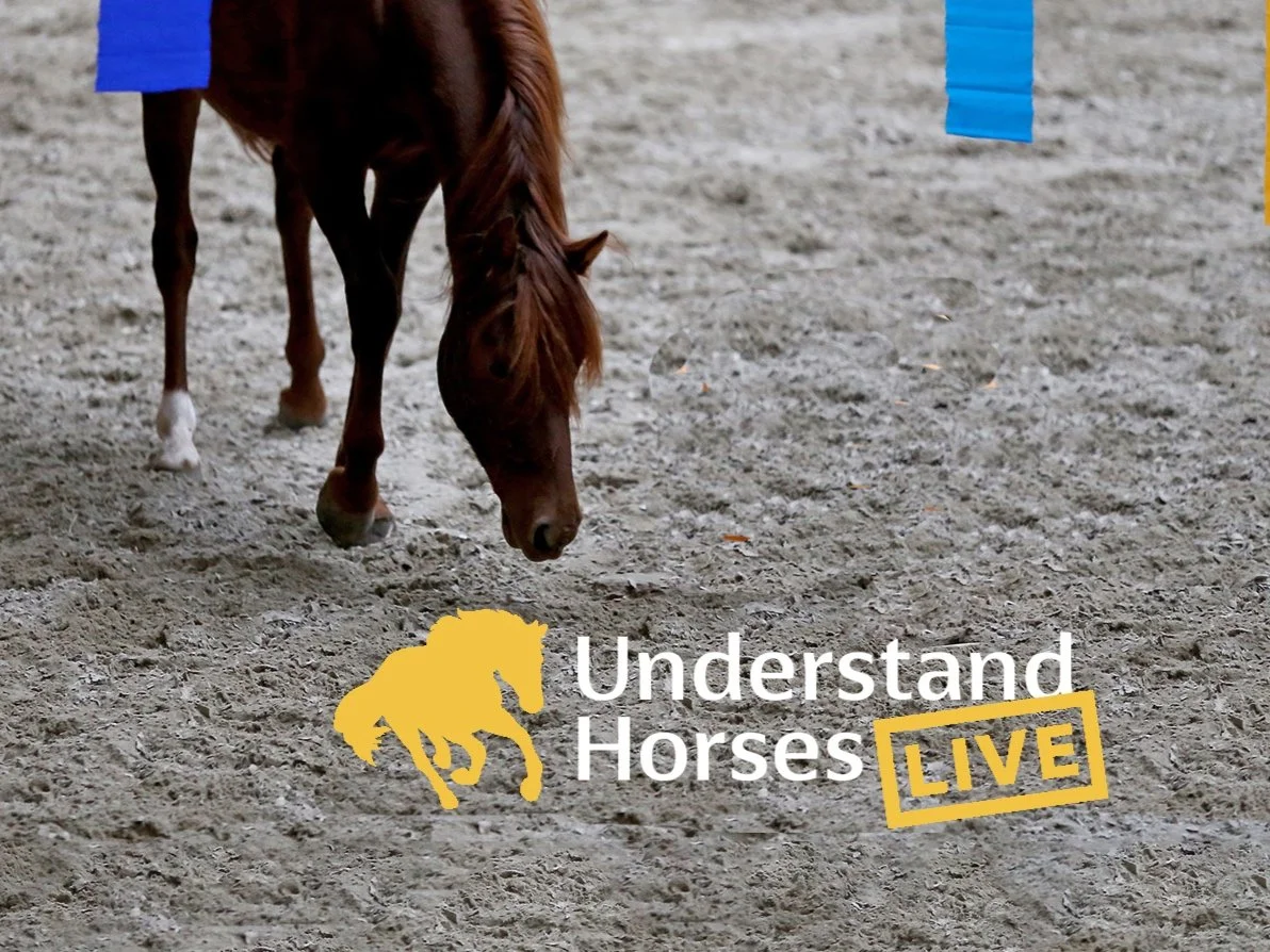 Understand Horses Live