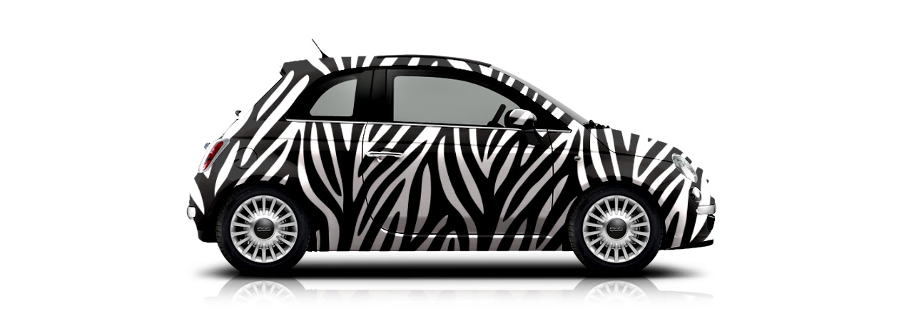 homepage-cars-zebra.jpg