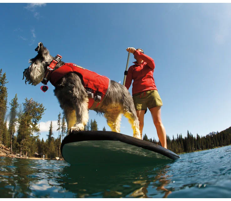 Life Jackets, Backpacks - for that active Rover - Ruffwear & RCPETs!