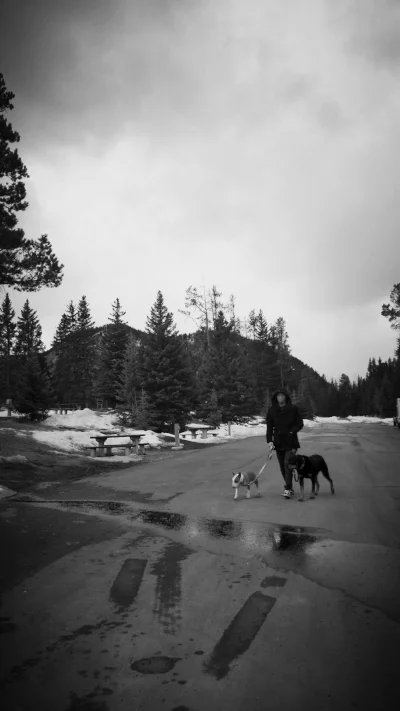 Tunnel Mountain Campground - RV Section