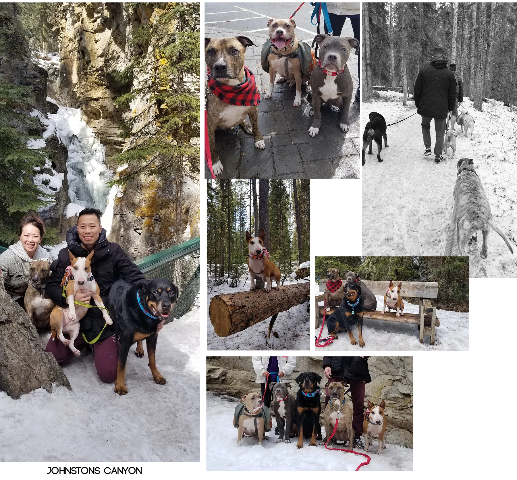 May 2018 Hike to Johnstons Canyon - a little slushy