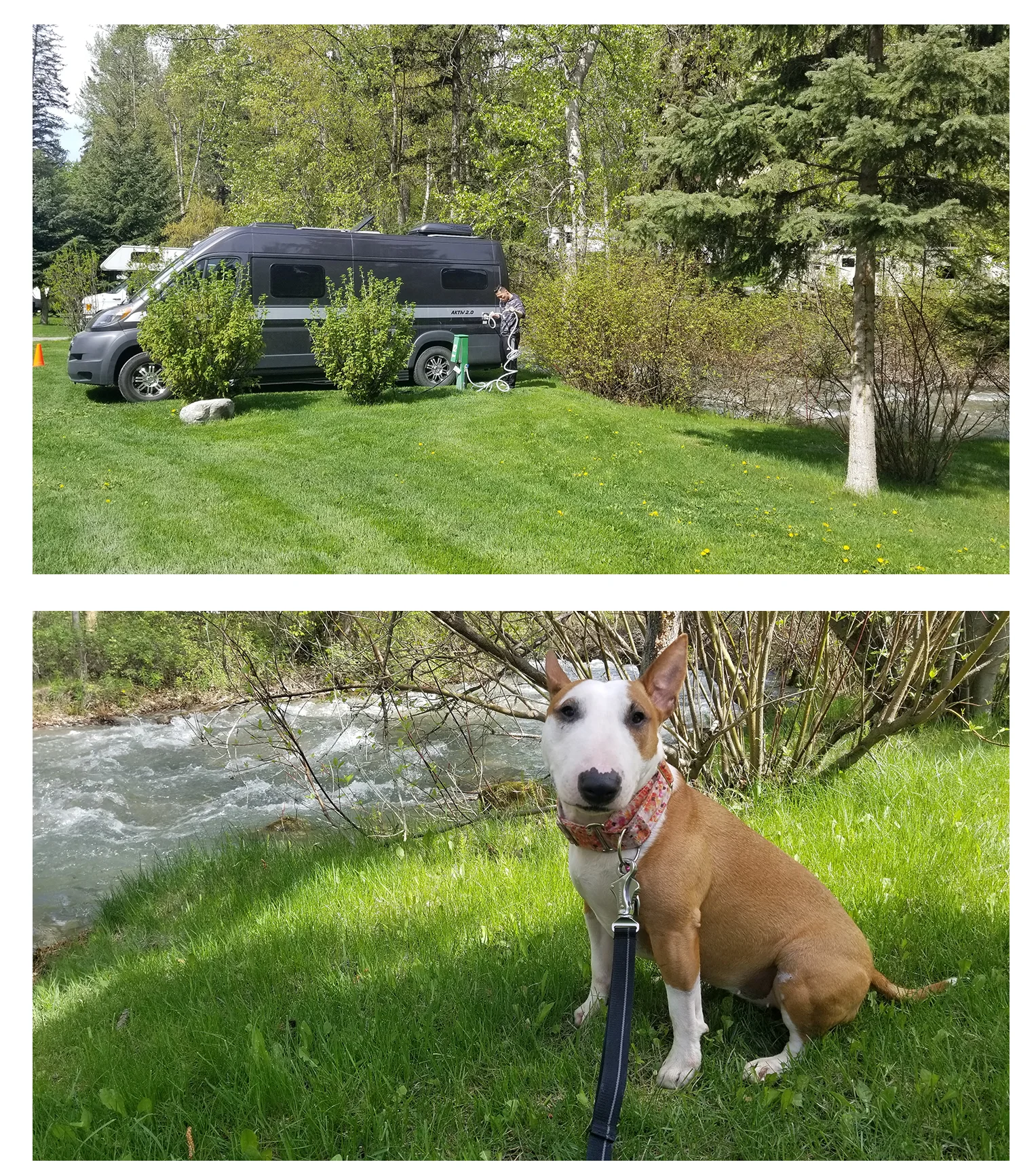 Canyon RV in Radium - Site #12