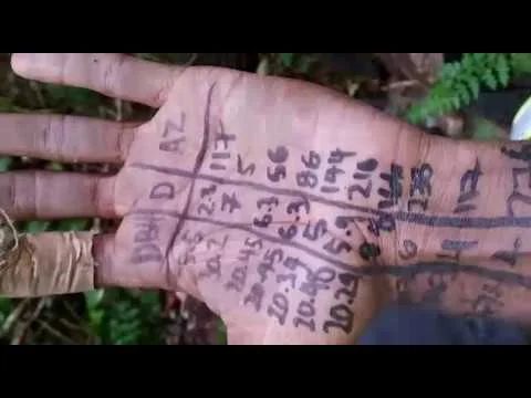 #Forestmapping #Vanuatu 2019