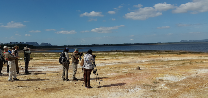 Leading a tour group in cuba for Birdscaribbean