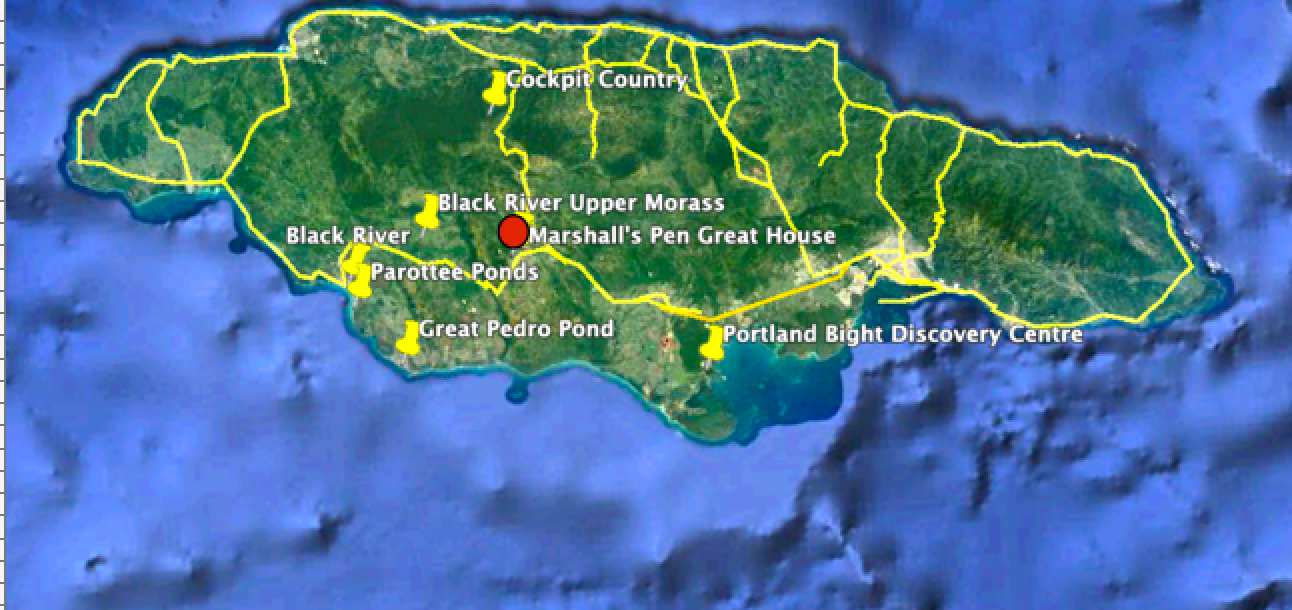MANDEVILLE IS A perfect CENTRAL LOCATION FROM WHICH TO VISIT MANY BIRDING SITES IN SOUTH CENTRAL JAMAICA