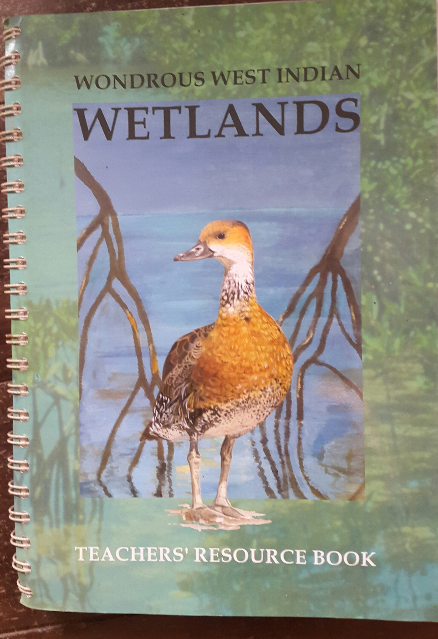 a comprehensive guide to teaching about caribbean wetlands