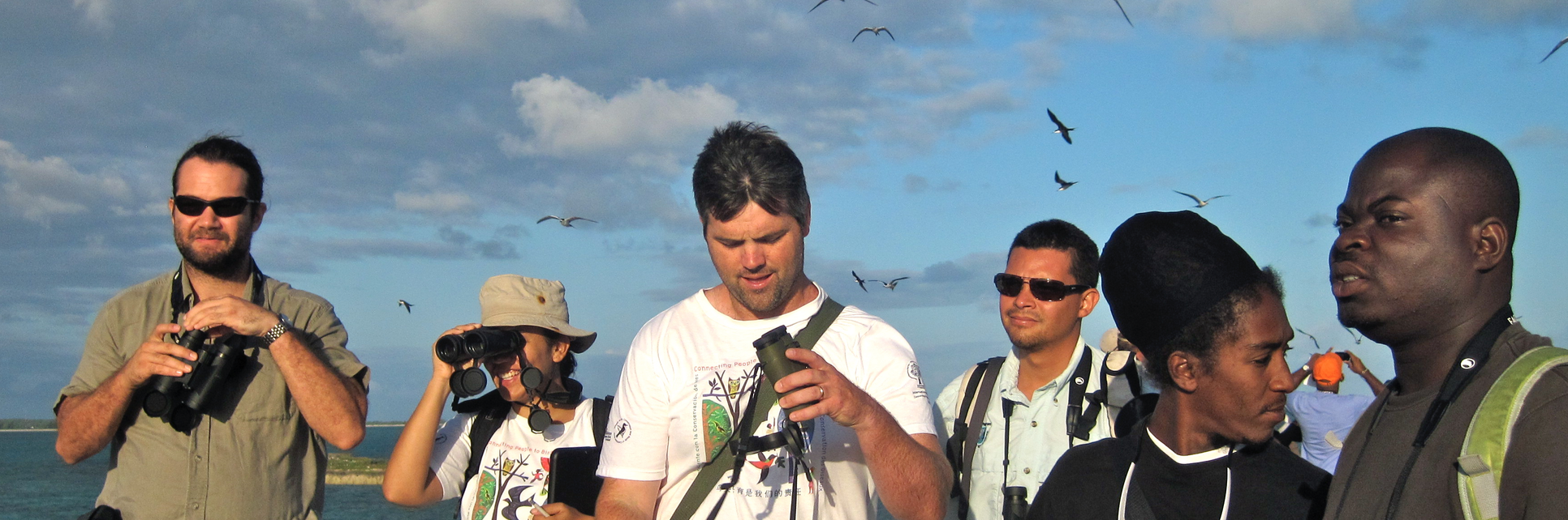 Monitoring seabirds with birdscaribbean, san salvador, bahamas