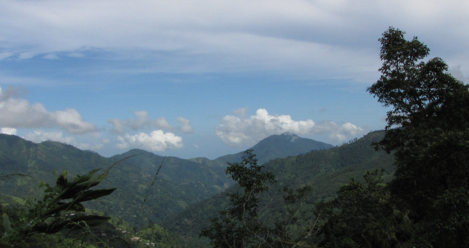 Blue mountains from harwar gap