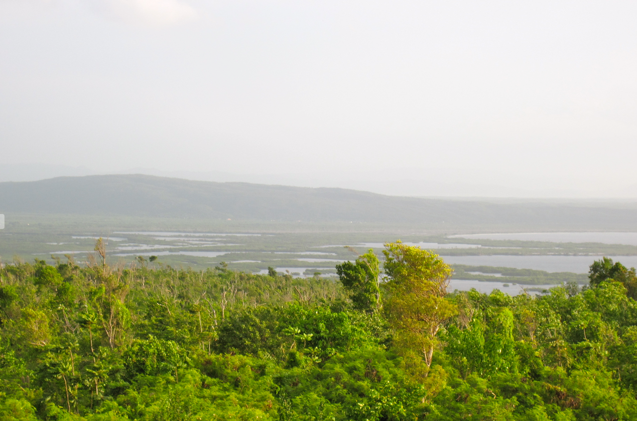 Braziletto mountains and west HARBOR seen from portland ridge