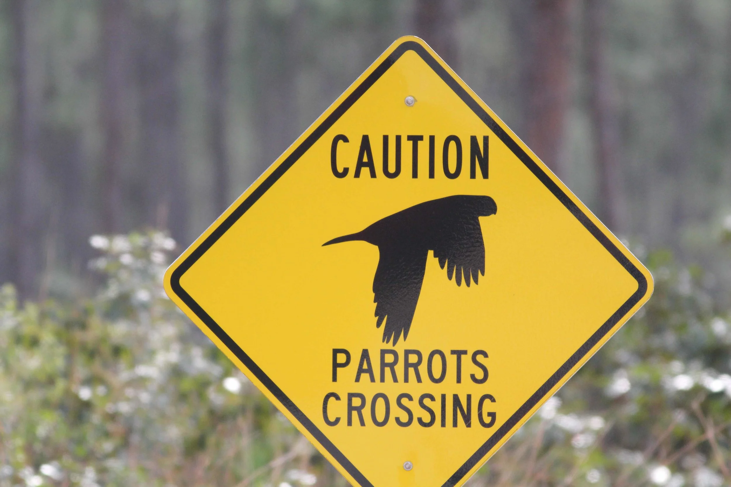 Sign on the road in Abaco
