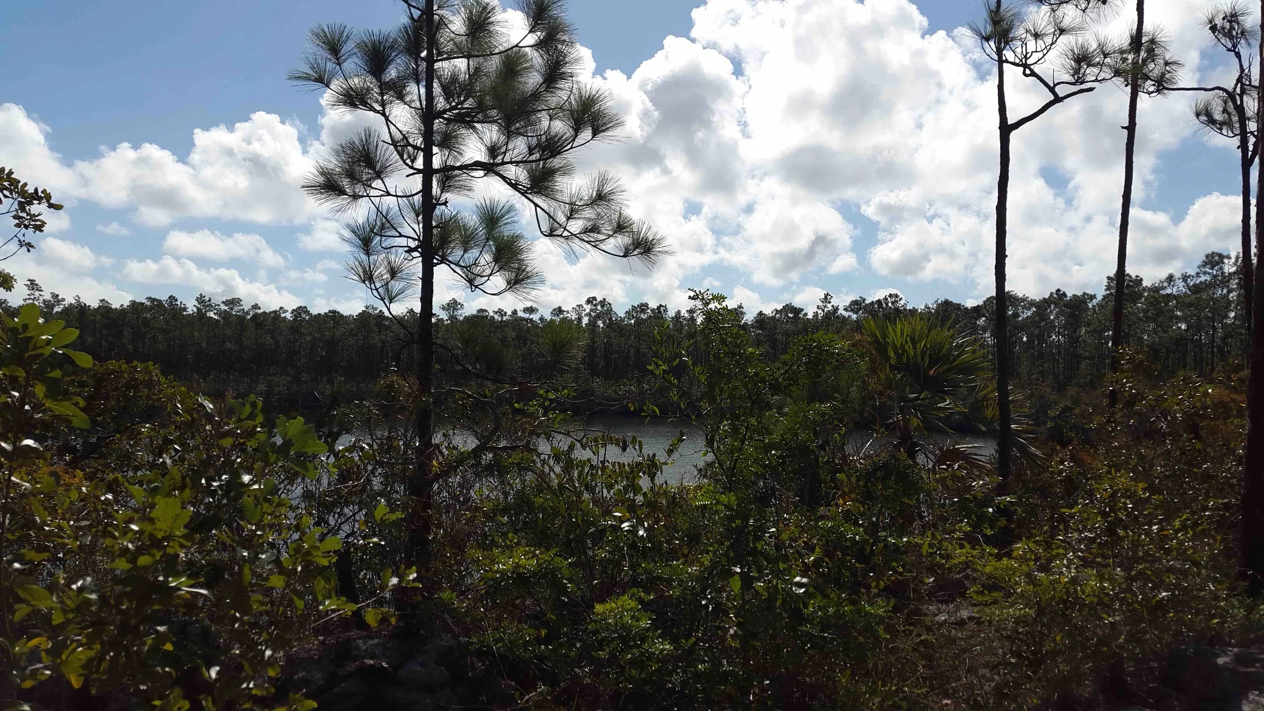 Bill's Blue Hole