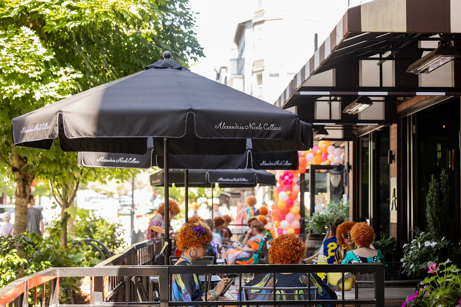 Roper Romp // Alexandria Nicole Cellars