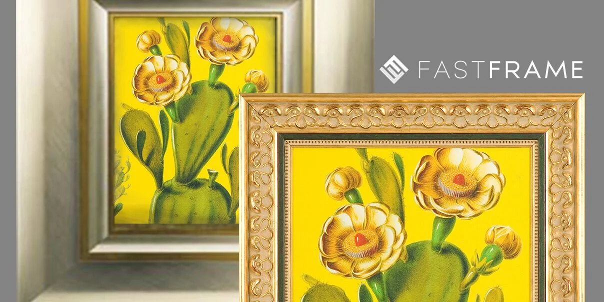 Wood Frame or Metal Frame: Which Should I Choose?