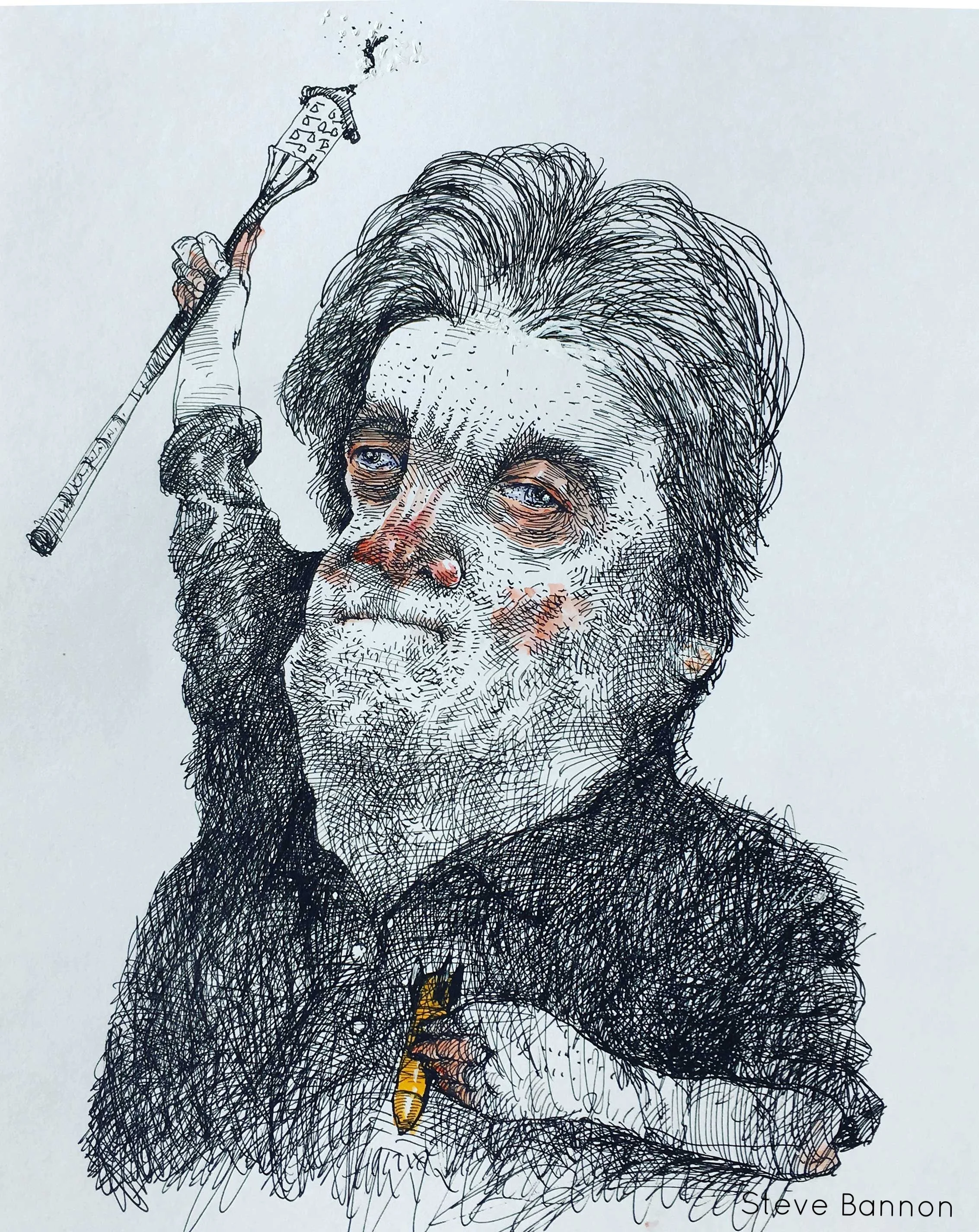 Steve Bannon