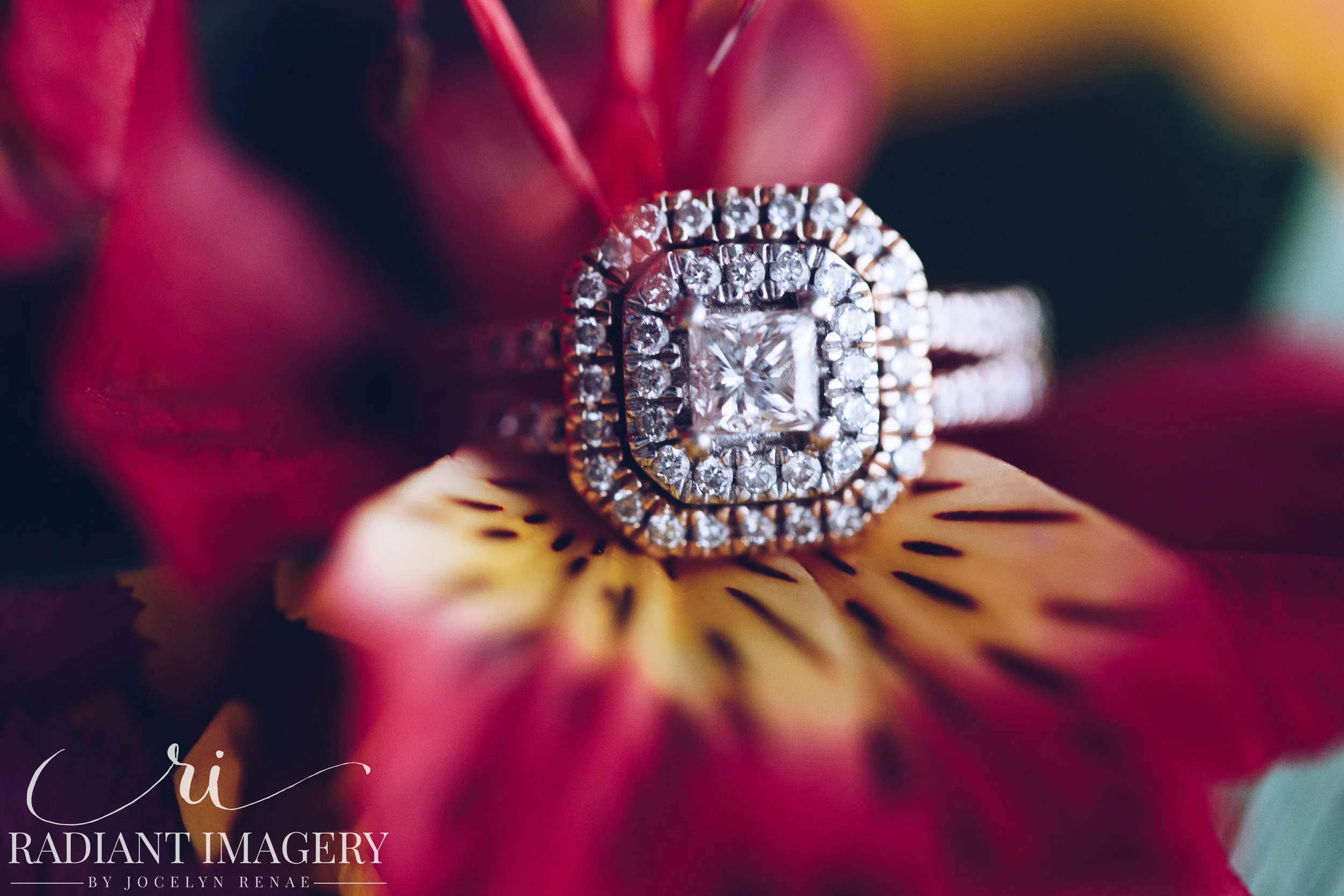 Another year to Radiate! | Maryland Wedding Photographer