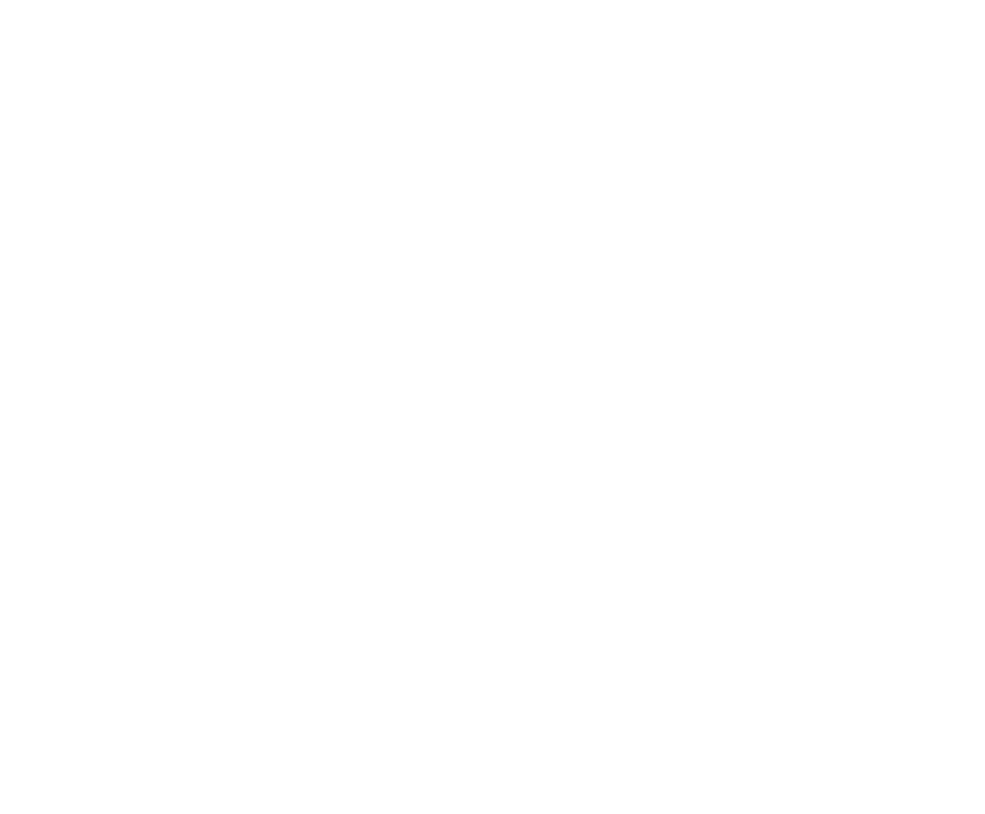 KariWolf-logo-white.png