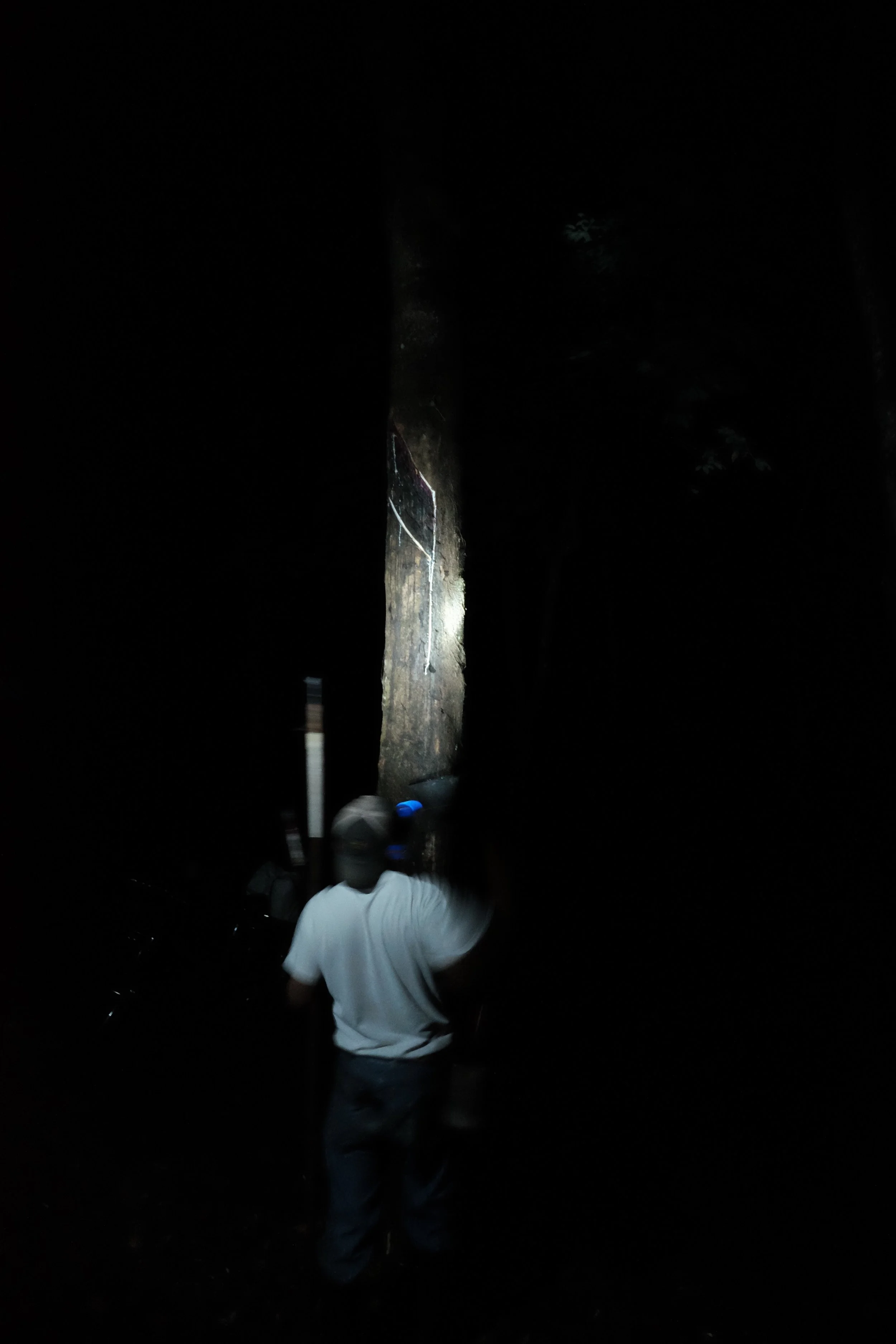 Tapping the Rubber - 2 of 47.jpg