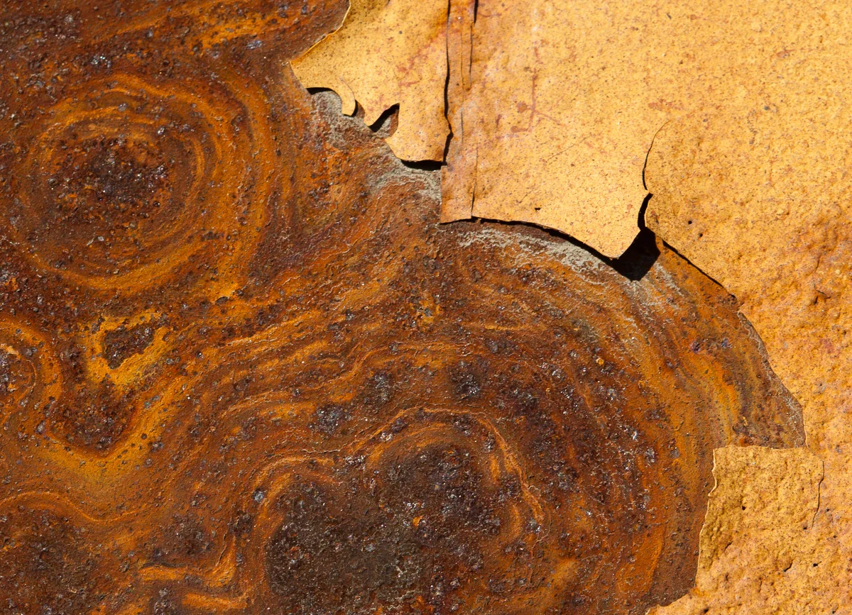 decay-6417.jpg