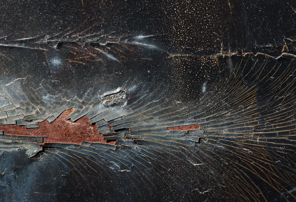 decay-6439.jpg