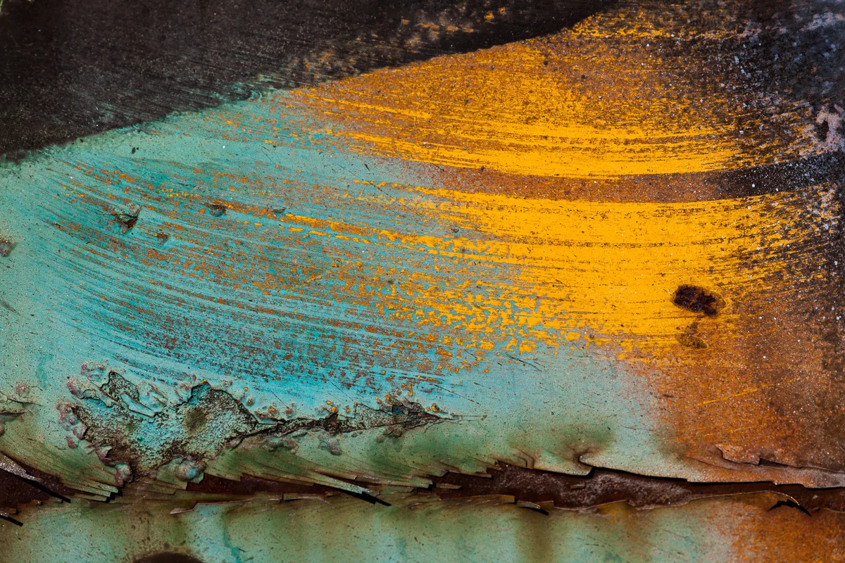 decay-6481.jpg