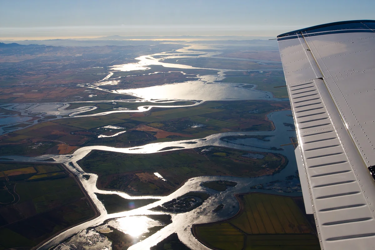 flying-9191.jpg