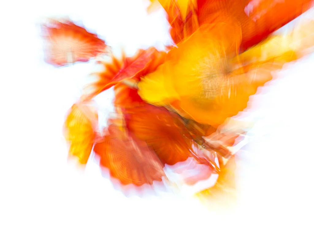 abstract-2287.jpg