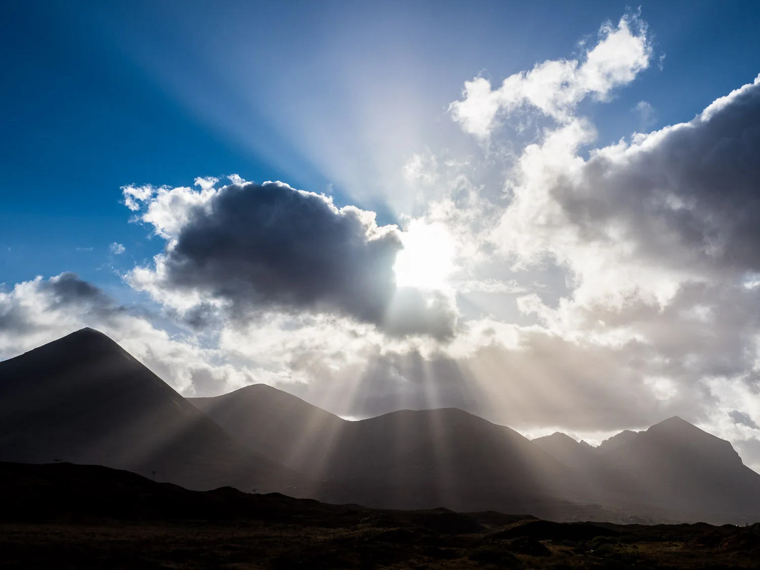webscot-112195.jpg