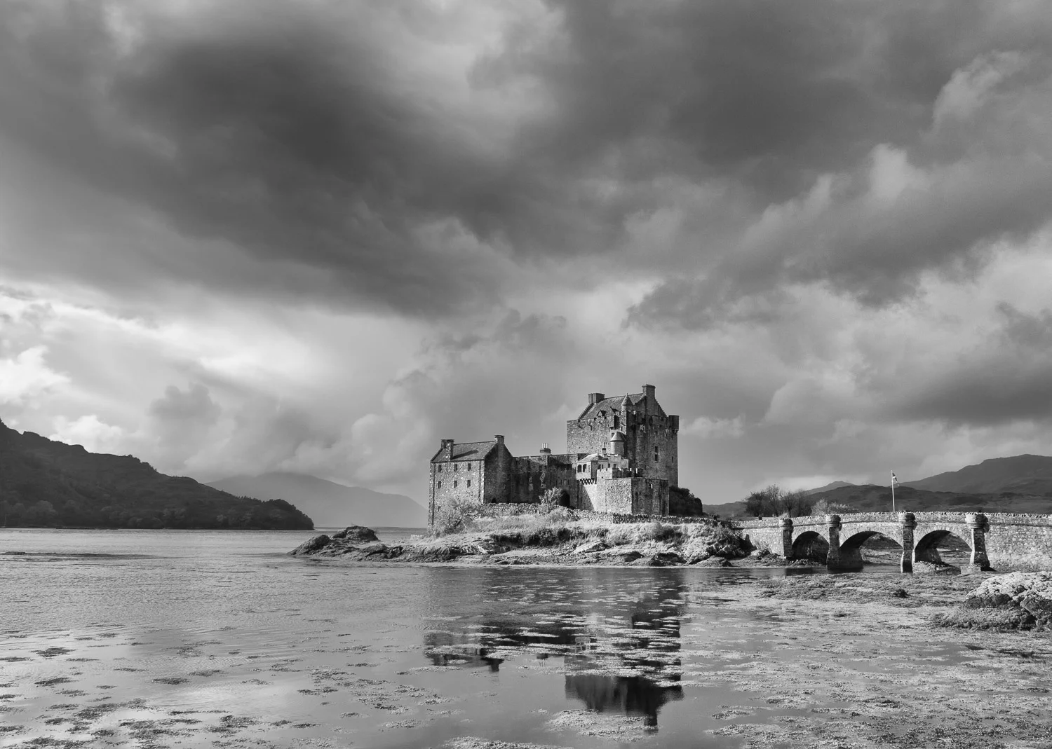 webscot-.jpg