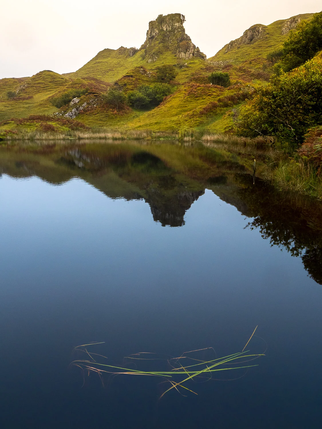 webscot-080781.jpg