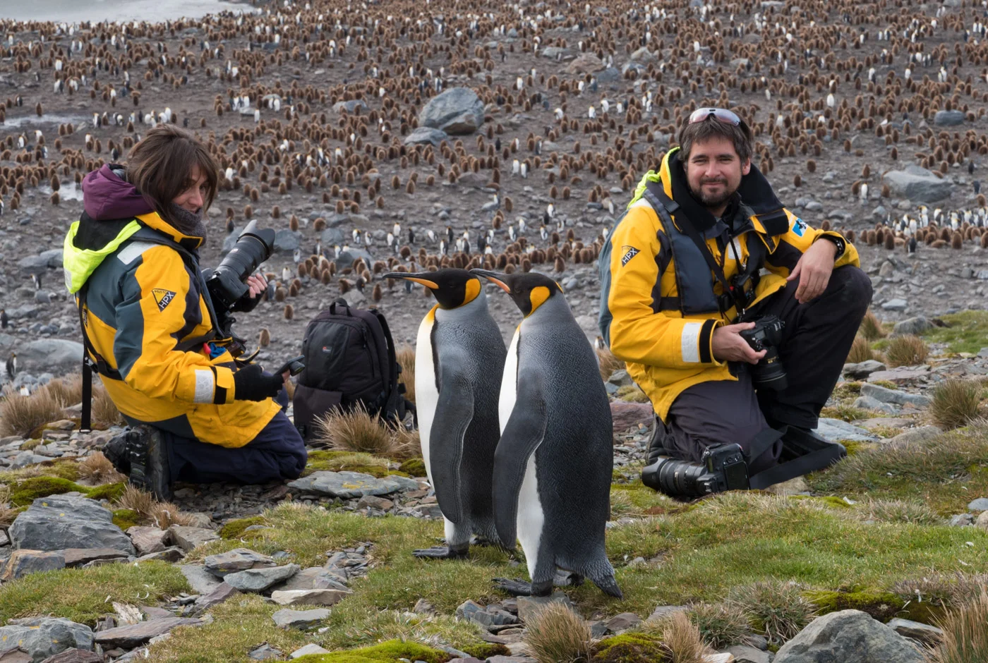 antarctica-1010699.jpg