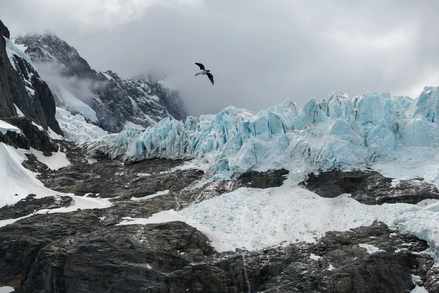 antarctica-1020426.jpg