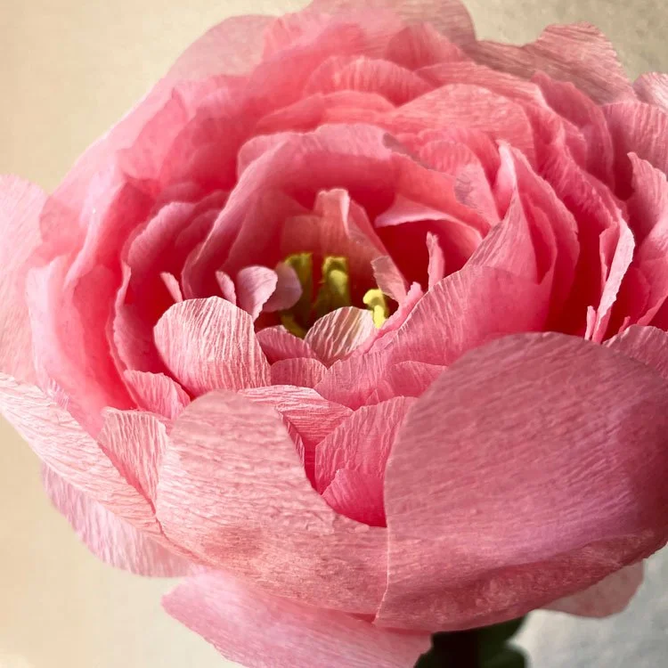 paperflower.jpg