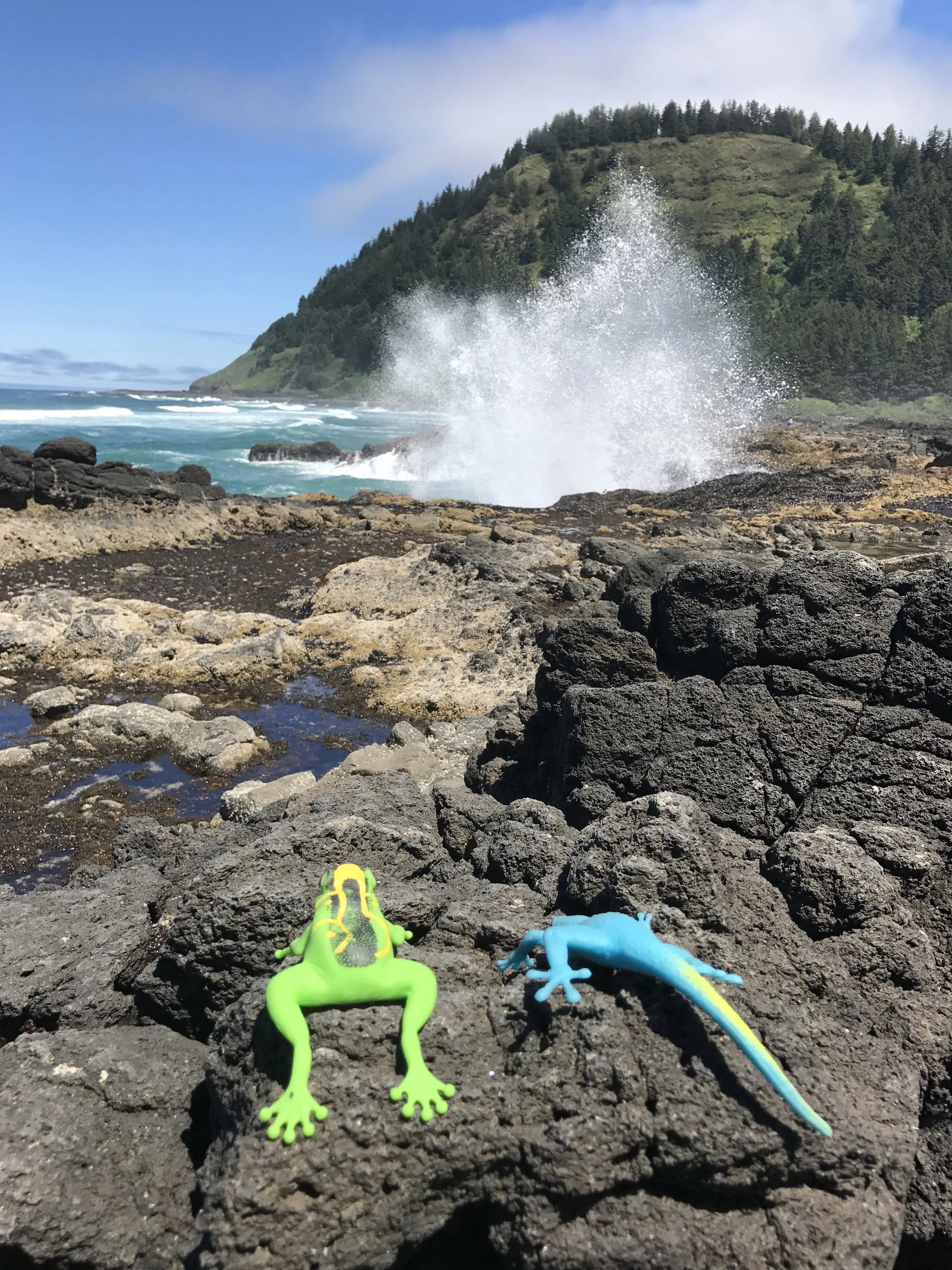 Live as the Locals Do 🌍✨