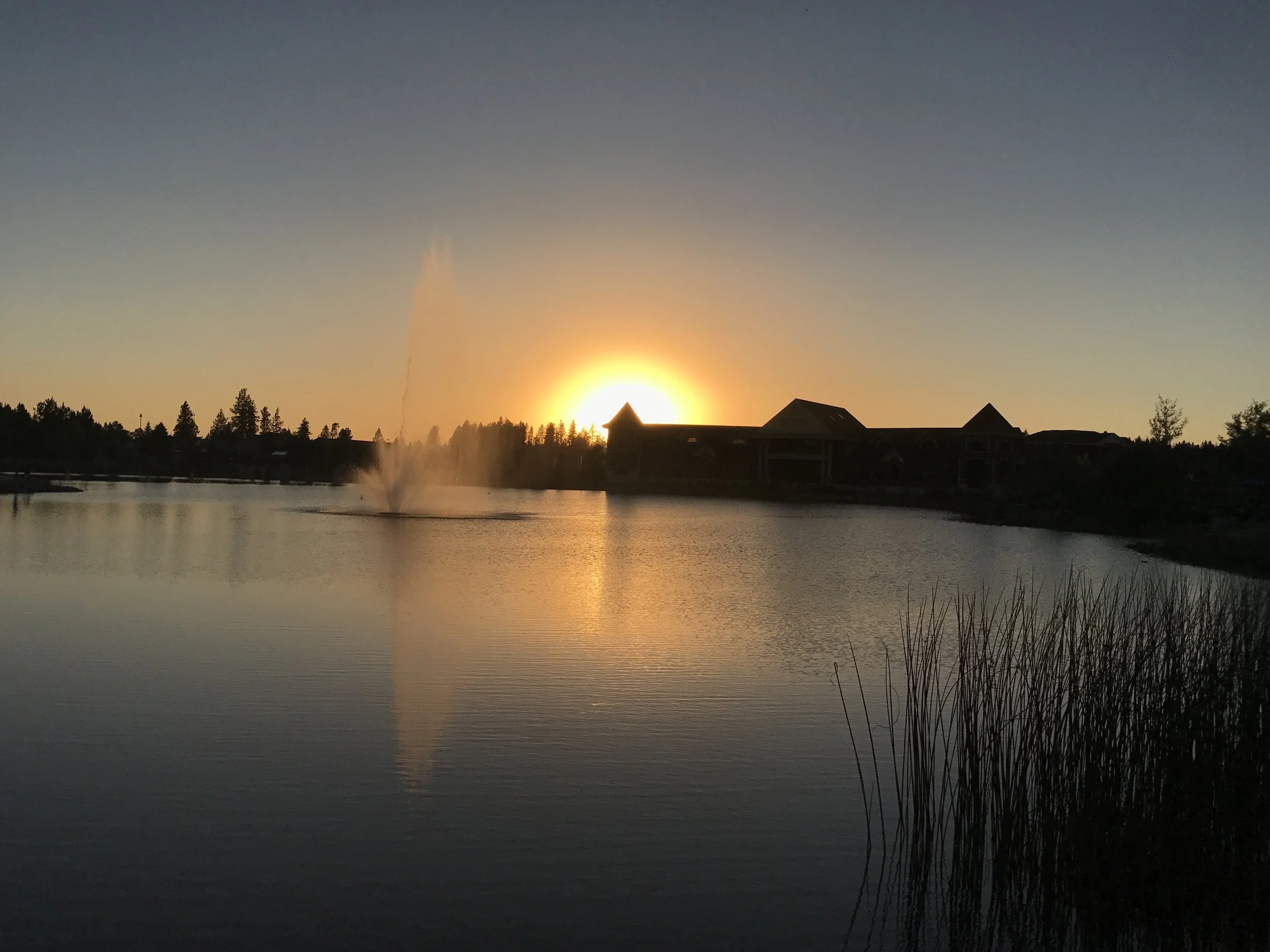 Where Am I Again? 🗺️