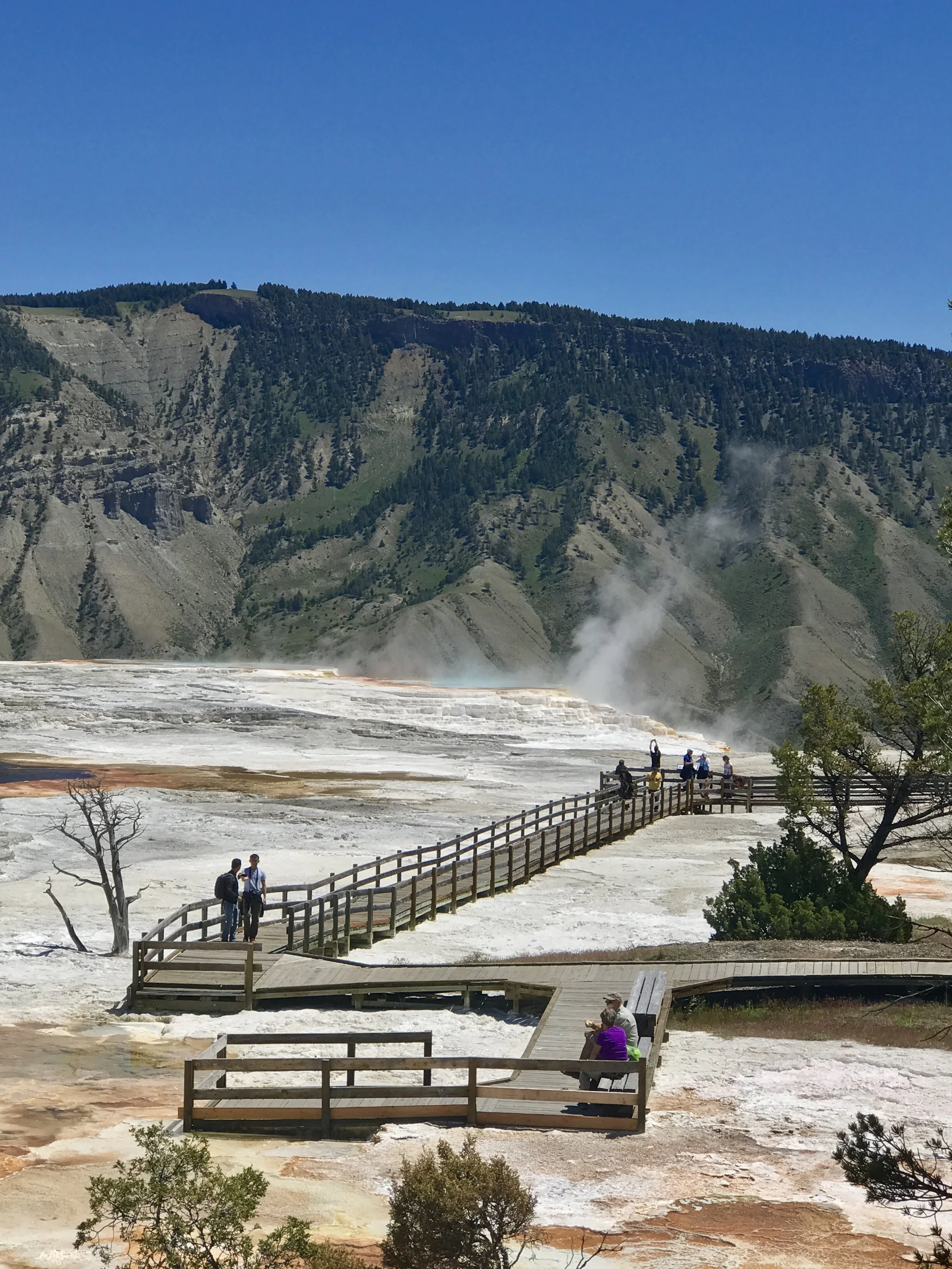 Rubber side down, down on the rubber side 🏞️🏍️
