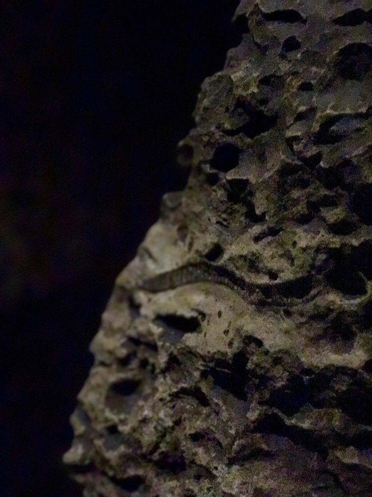 image-asset+(11).jpeg