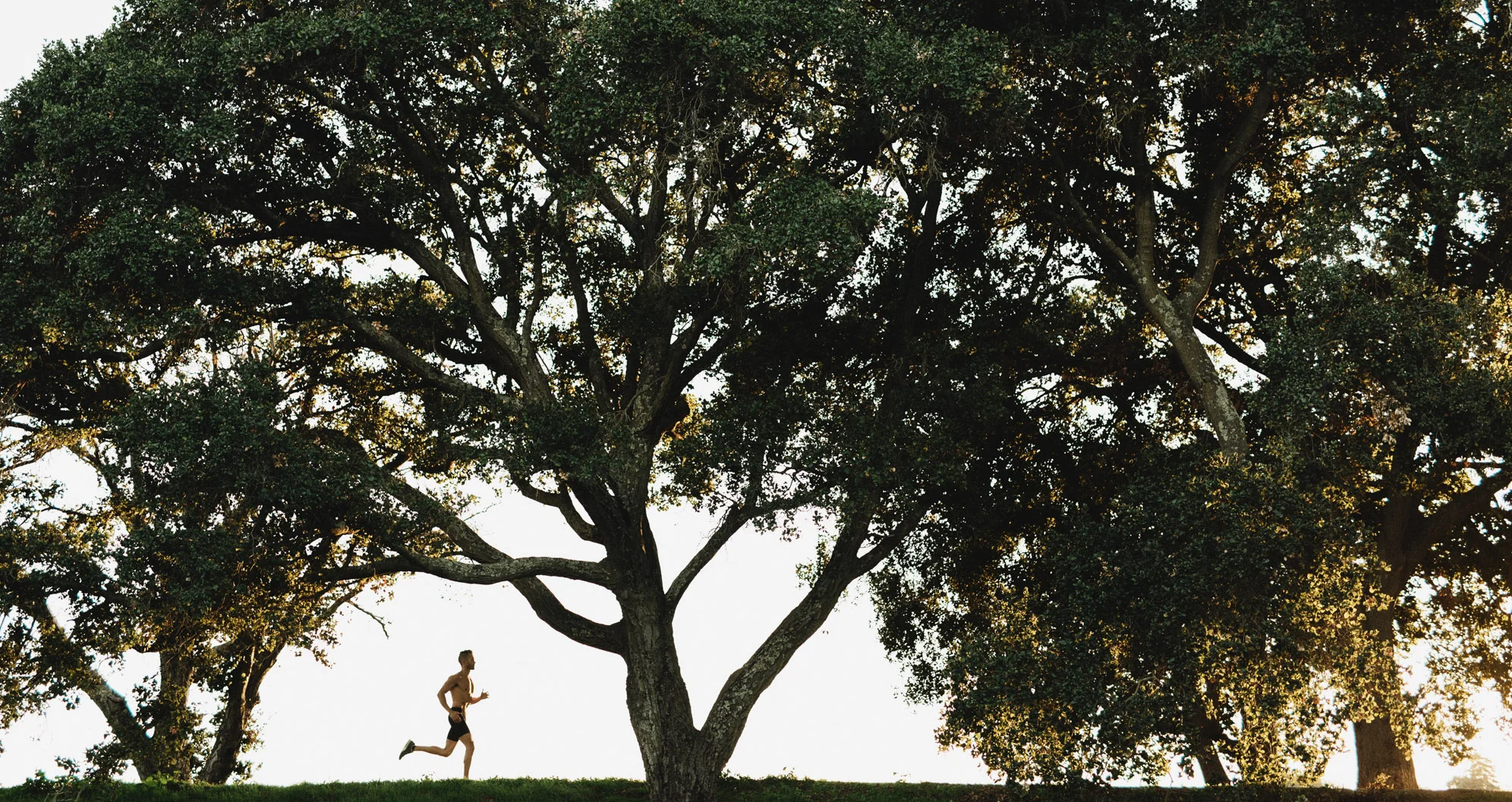 Do or Do Not: Why I'm Trying To Quit Trying