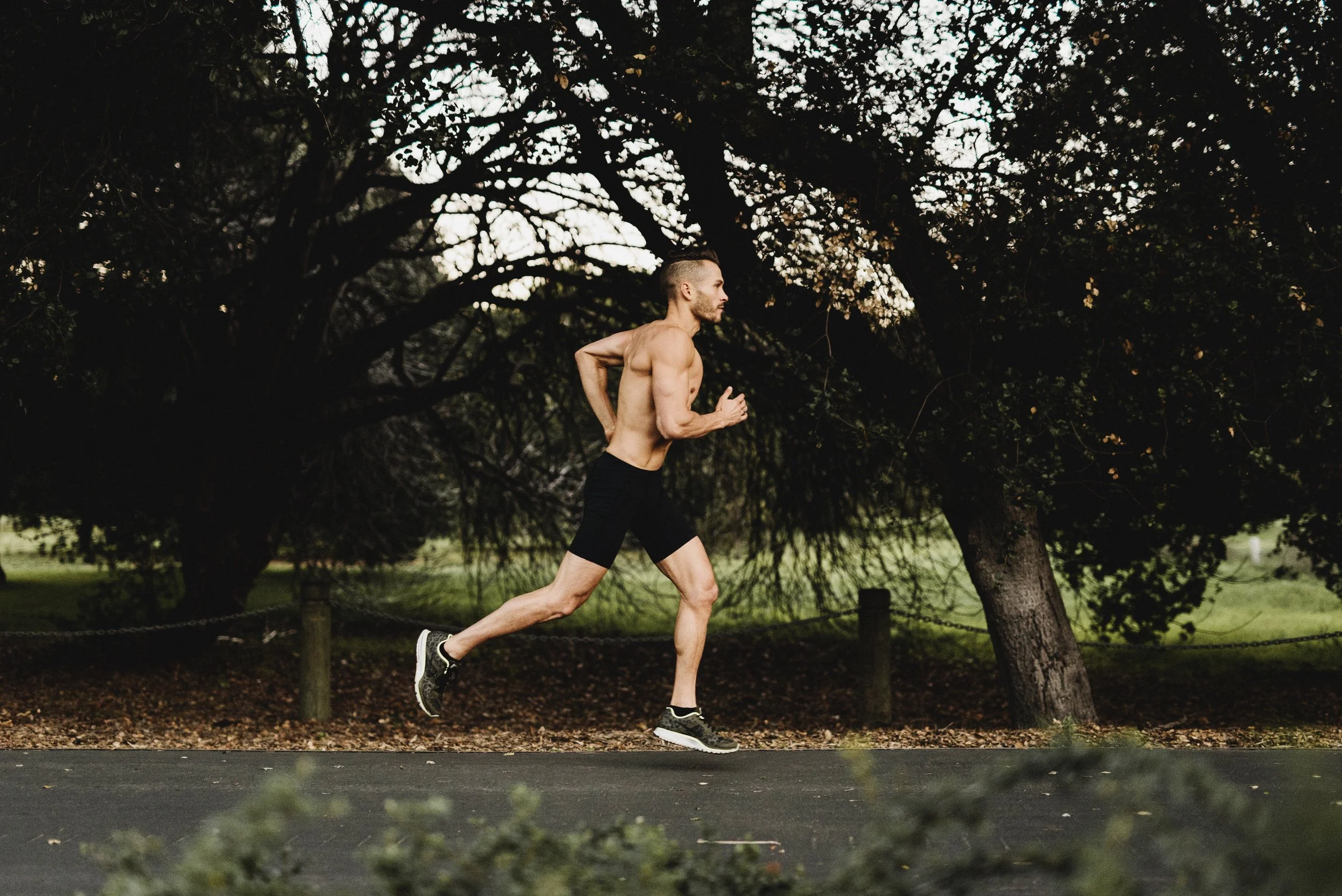 Run Free: The Paradox of Cultivating True Freedom