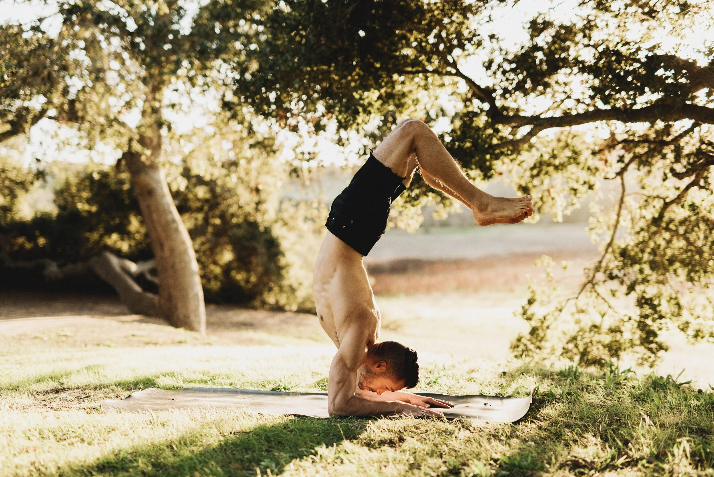 I strive for balance and know that it is a never-ending process of balance & re-balance. To maintain any balance pose in yoga requires opposing muscles pulling against one another. Life follows suit--different aspects of life pull against one another to create balance.