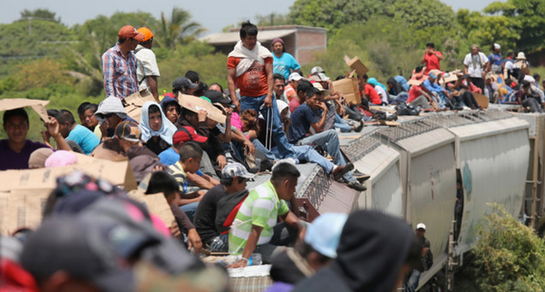 Show Notes:  Illegal Immigration Profiteering & Faith-Based Initiatives