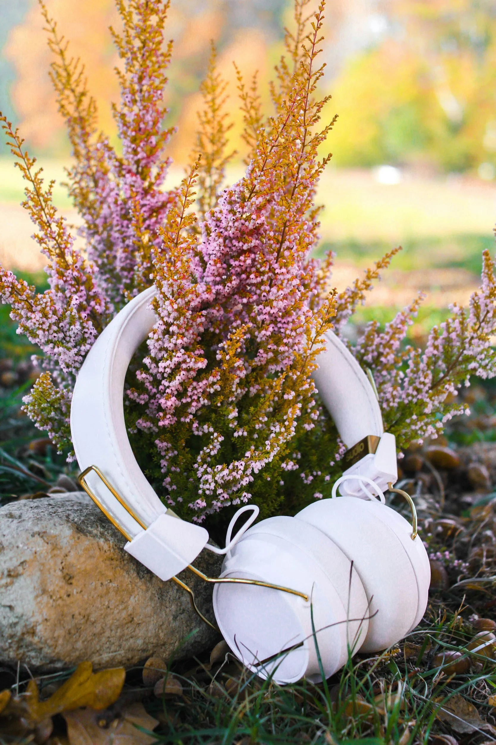 Quite Frankly Autumn Playlist