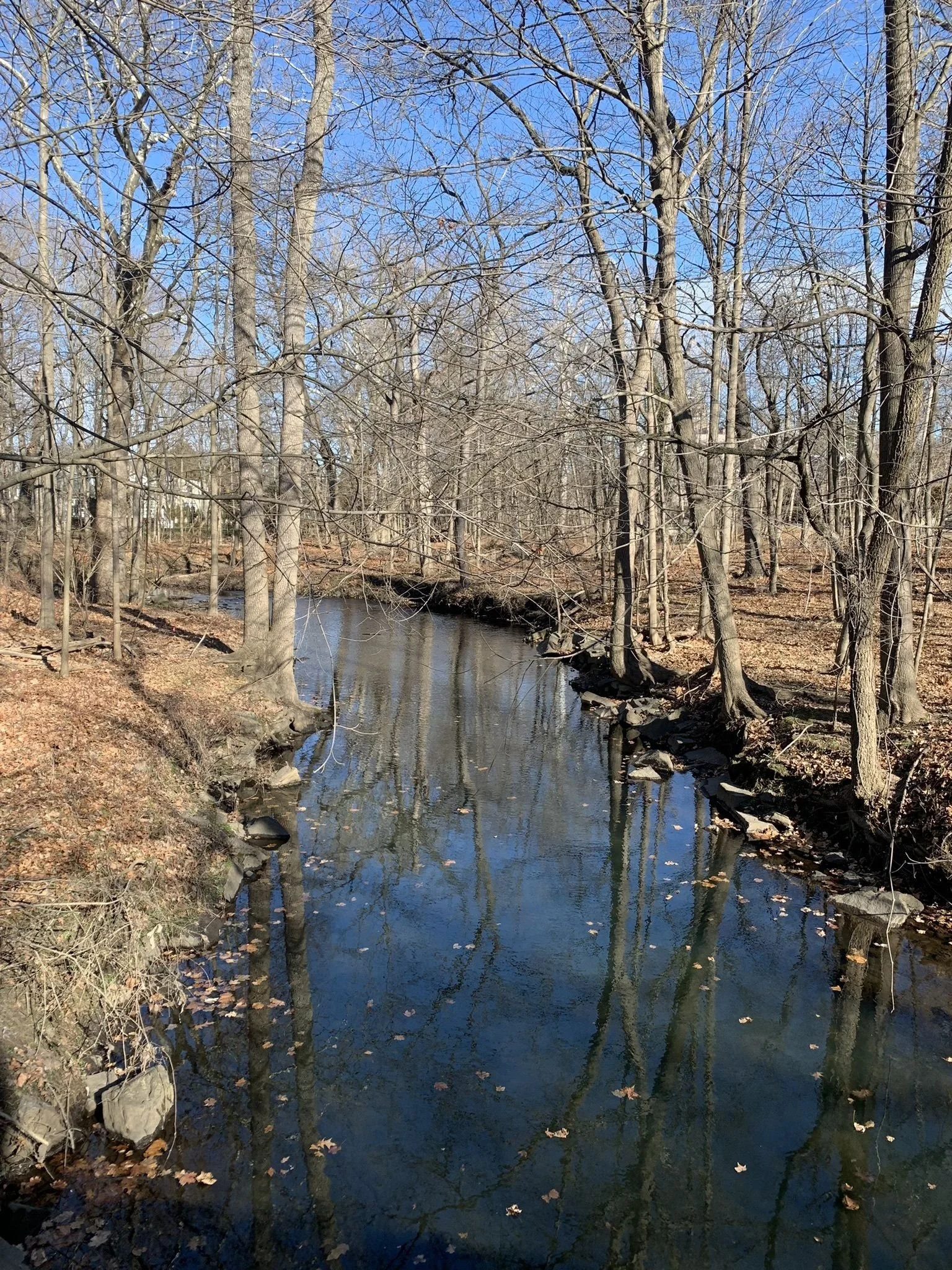 Stillness Through Movement